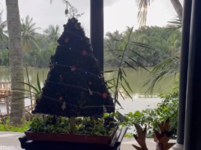 Giáng Sinh xanh trên hành trình xanh